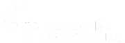 Elite Foot and Ankle Logo